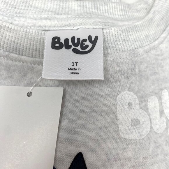 Target Toddler Bluey Family Fleece Sweatshirt and Pull-On Pants Set Heather Gray - Picture 13 of 16